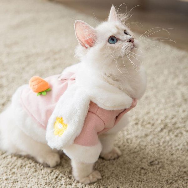 pet dog cat clothes cartoon costume warm winter for dogs cats home pajamas puppy hoodie coat apparel
pet dog cat clothes cartoon costume warm winter for dogs cats home pajamas puppy hoodie coat apparel