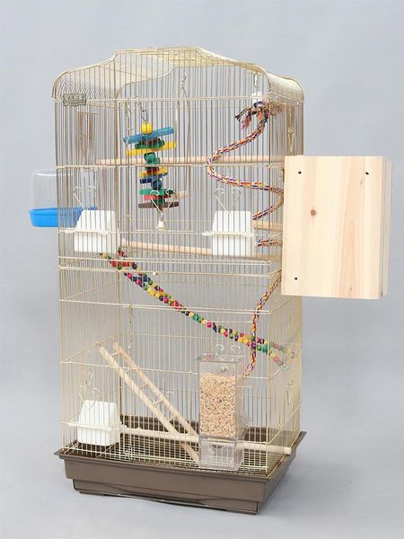 bird cages practical electroplating gold tiger skin large breeding cage black phoenix peony parrot luxury metal myna
bird cages practical electroplating gold tiger skin large breeding cage black phoenix peony parrot luxury metal myna