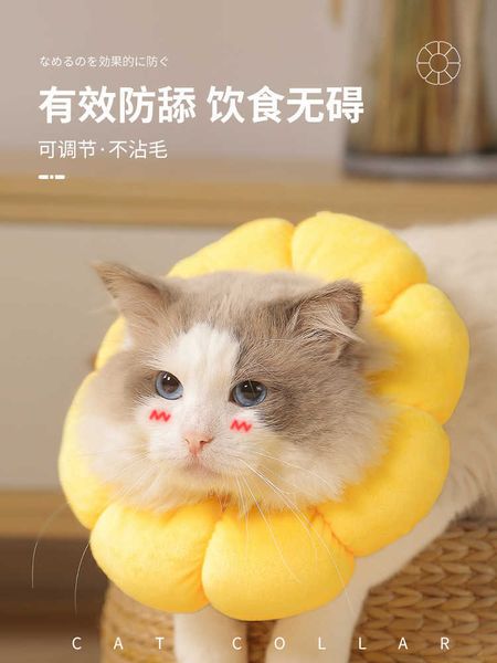 factory cat elizabeth dog anti lick soft headgear eliza white shame neck collar sterilization products
factory cat elizabeth dog anti lick soft headgear eliza white shame neck collar sterilization products