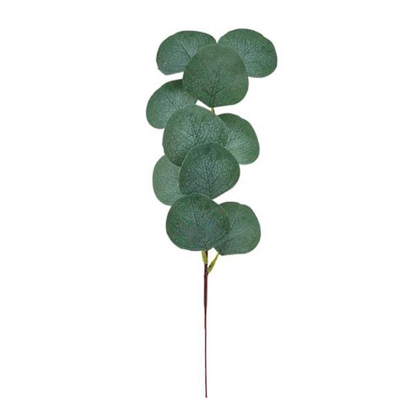immortal eucalyptus artificial flower leaves stems plant green table decoration 10pcs wedding holiday eucalipto branches decorative flowers
immortal eucalyptus artificial flower leaves stems plant green table decoration 10pcs wedding holiday eucalipto branches decorative flowers