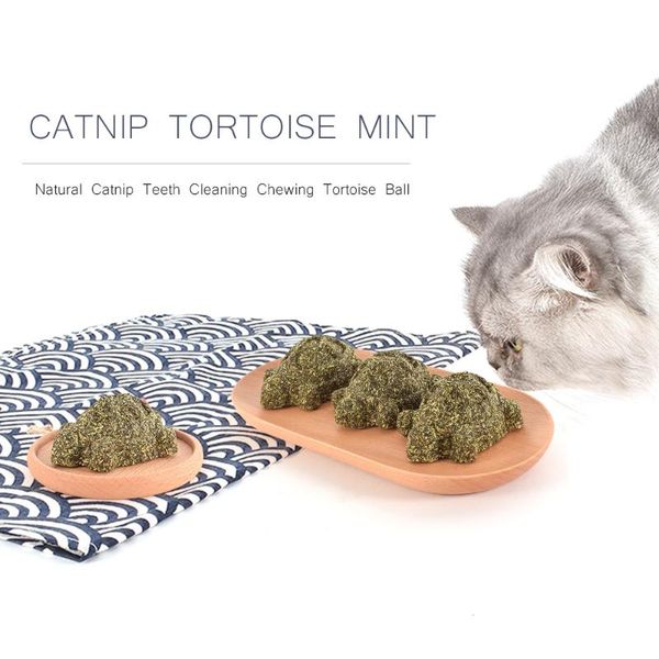 cat toys 3pcs catnip ball toy tortoise mint natural teeth cleaning playing chew claw pet supplies
cat toys 3pcs catnip ball toy tortoise mint natural teeth cleaning playing chew claw pet supplies