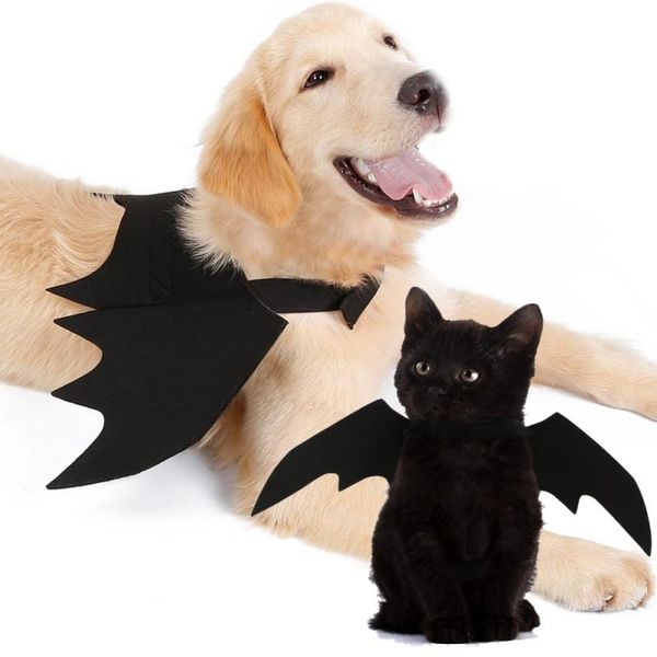 halloween pet bat wings cat costume funny cats cosplay fit party dogs playing products gorro ca costumes
halloween pet bat wings cat costume funny cats cosplay fit party dogs playing products gorro ca costumes