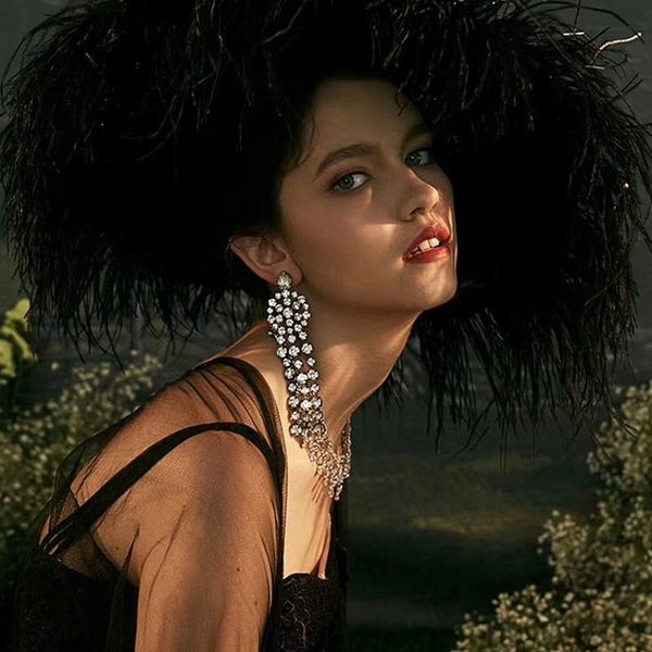 luxury fashion brand show lady's shiny rhinestone big dangle earrings jewelry evening dress statement accessories & chandelier, Silver
luxury fashion brand show lady's shiny rhinestone big dangle earrings jewelry evening dress statement accessories & chandelier, Silver