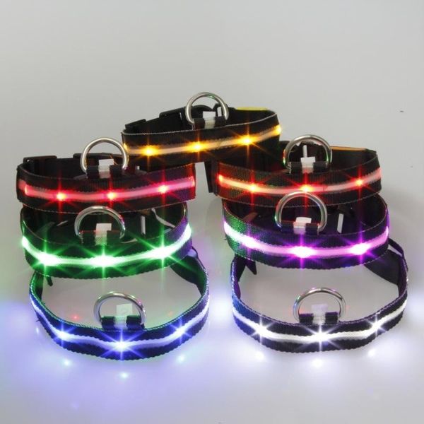 dog collars & leashes fashion 4 sizes colorful led collar flashing in dark nylon lighting safety pet wide luminous products
dog collars & leashes fashion 4 sizes colorful led collar flashing in dark nylon lighting safety pet wide luminous products