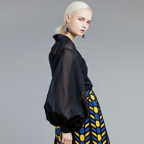 hoodie see through black blouse for women stand collar lantern long sleeve casual loose shirt female fashion spring
hoodie see through black blouse for women stand collar lantern long sleeve casual loose shirt female fashion spring