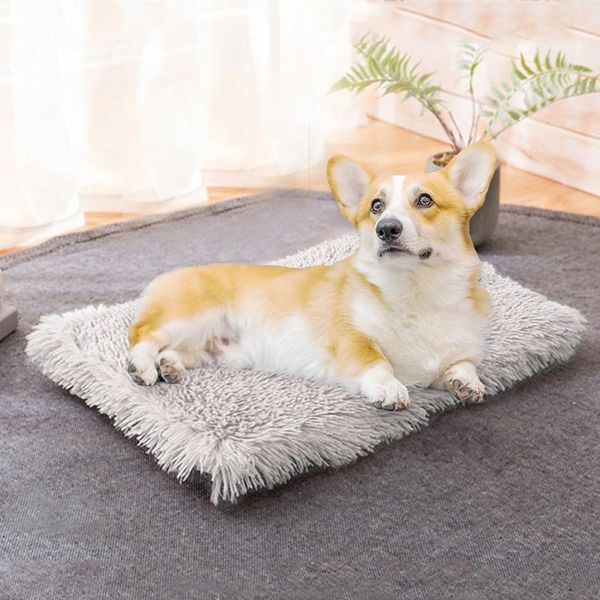 kennels & pens dog bed mat soft dogs cat sleeping blanket kennel warm small medium large cage
kennels & pens dog bed mat soft dogs cat sleeping blanket kennel warm small medium large cage