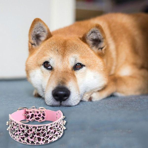 luxurious spiked studded dog collar padded pu leather collars for medium large dogs neck strap c63b & leashes
luxurious spiked studded dog collar padded pu leather collars for medium large dogs neck strap c63b & leashes