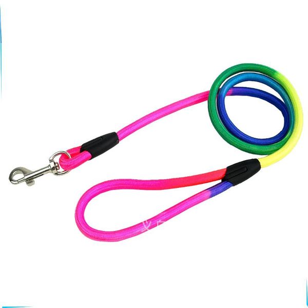 pet dog leash 1.2m length double strand rope large leashes metal p chain buckle sevencolor traction collar sets collars &
pet dog leash 1.2m length double strand rope large leashes metal p chain buckle sevencolor traction collar sets collars &