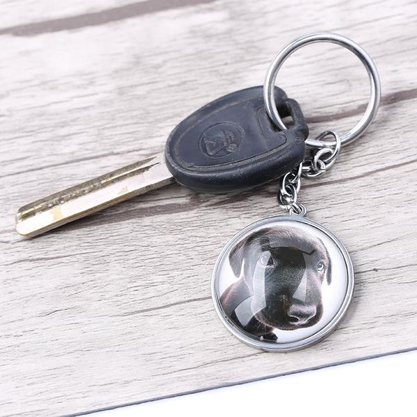 keychains reidgaller cute puppy dog face keychain po cabochon pendant key chain stainless steel keyring fashion women accessories, Silver
keychains reidgaller cute puppy dog face keychain po cabochon pendant key chain stainless steel keyring fashion women accessories, Silver