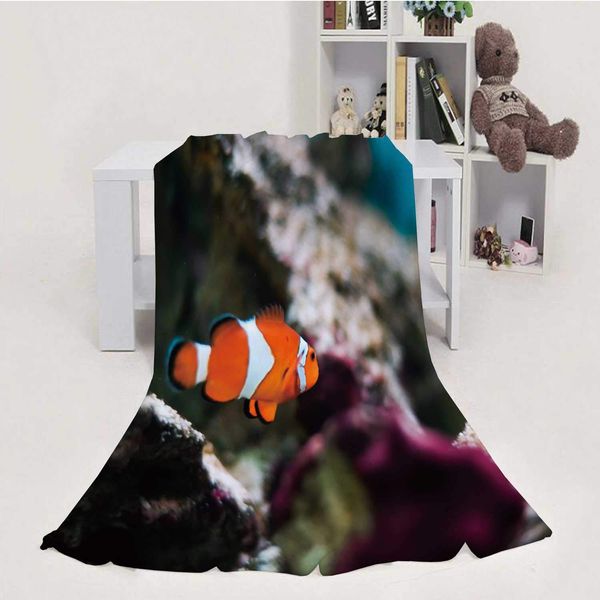 finding nemo real fish: percula clownfish,blanket throw super soft m cozy velvet decoration for couch bed sofa 70''x80''
finding nemo real fish: percula clownfish,blanket throw super soft m cozy velvet decoration for couch bed sofa 70''x80''