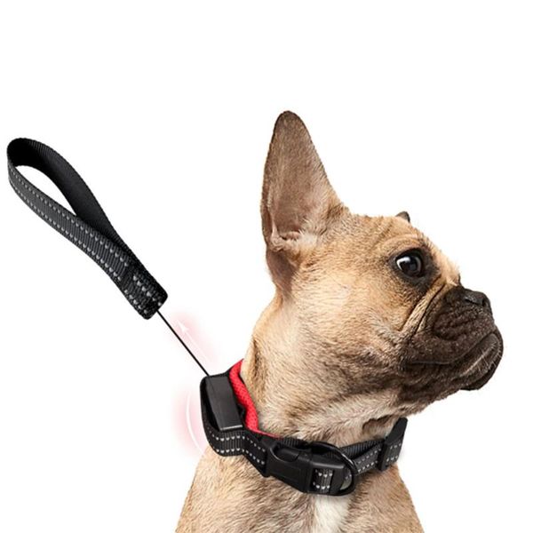 dog collars & leashes traction rope retractable leash nylon collar harness pet for dogs
dog collars & leashes traction rope retractable leash nylon collar harness pet for dogs