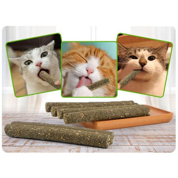 cat toys 2 pcs/lot natural catnip molar stick pet toothpaste sticks toy supplies
cat toys 2 pcs/lot natural catnip molar stick pet toothpaste sticks toy supplies