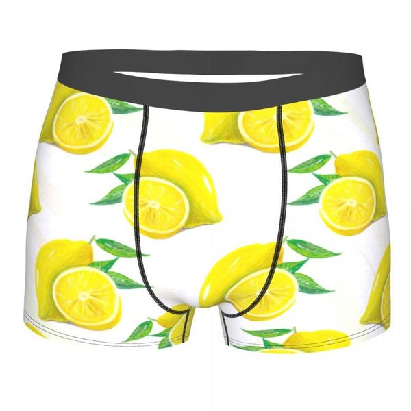 underpants mens boxer underwear lemon cute print male panties pouch short pants, Black;white
underpants mens boxer underwear lemon cute print male panties pouch short pants, Black;white