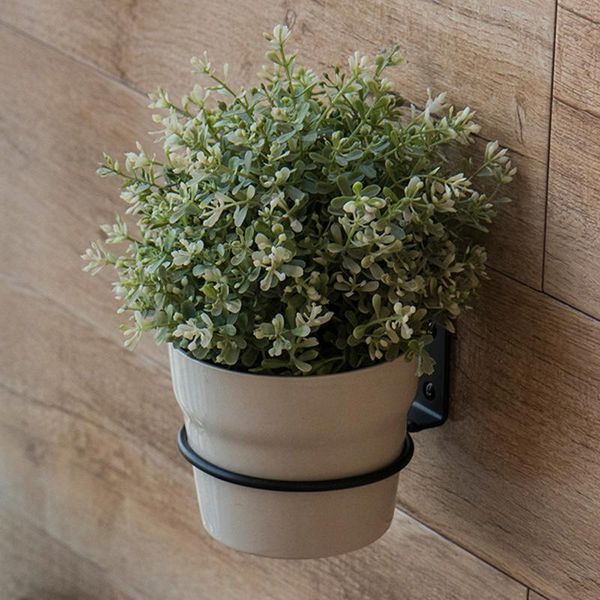planters & pots 3pcs/set modern hanging flower holder garden succulent metal plants hanger home wall decorations
planters & pots 3pcs/set modern hanging flower holder garden succulent metal plants hanger home wall decorations