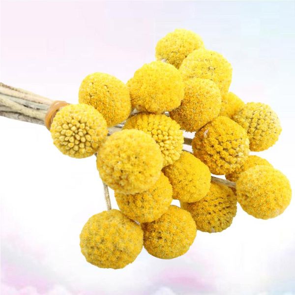 decorative flowers & wreaths 30pcs stems diy dried branch farmhouse home decor bouquet golden craspedia yellow billy balls pography prop
decorative flowers & wreaths 30pcs stems diy dried branch farmhouse home decor bouquet golden craspedia yellow billy balls pography prop