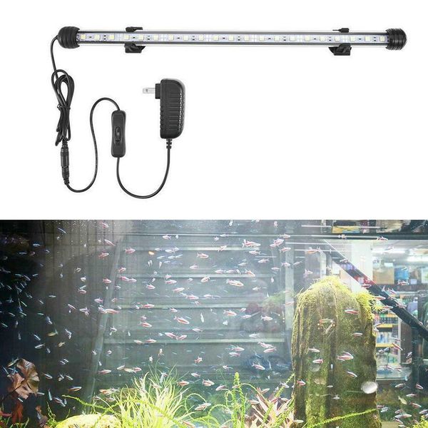 aquariums lighting aquarium tropical fish tank waterproof smd 48cm 24leds light bar lamp submersible strip 5w pond swimming decor 12v
aquariums lighting aquarium tropical fish tank waterproof smd 48cm 24leds light bar lamp submersible strip 5w pond swimming decor 12v