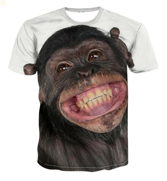 crop collared designers t shirt 2021 clothes classic camisas de hombre black t shirts short sleeve dress men's t-shirt simplicity 3d pr, White;black
crop collared designers t shirt 2021 clothes classic camisas de hombre black t shirts short sleeve dress men's t-shirt simplicity 3d pr, White;black