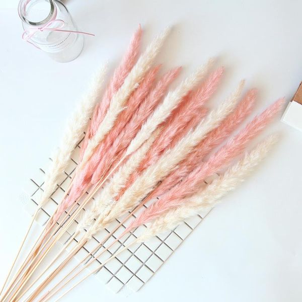 5pcs/bunch natural dried flower reed plant decorations for party home wedding diy decoration flowers bouquet accessory decorative & wreaths
5pcs/bunch natural dried flower reed plant decorations for party home wedding diy decoration flowers bouquet accessory decorative & wreaths