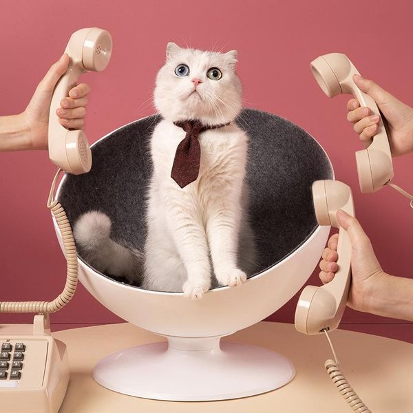 cat beds & furniture rotatable pet bed comfortable deep sleep boss beautiful cats nest four seasons 360 degree uniform rotation pets supplie
cat beds & furniture rotatable pet bed comfortable deep sleep boss beautiful cats nest four seasons 360 degree uniform rotation pets supplie