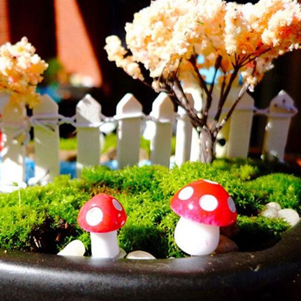 10pcs 2cm artificial mini mushroom miniatures fairy garden moss terrarium resin crafts decorations stakes craft
10pcs 2cm artificial mini mushroom miniatures fairy garden moss terrarium resin crafts decorations stakes craft
