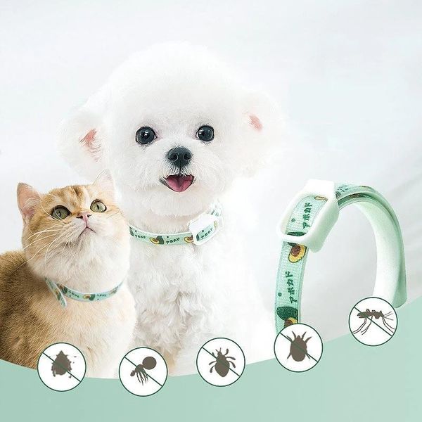 cat collars & leads adjustable dog collar anti flea tick for dogs cats anti-mosquito insect repellent protect killer pet accessories
cat collars & leads adjustable dog collar anti flea tick for dogs cats anti-mosquito insect repellent protect killer pet accessories