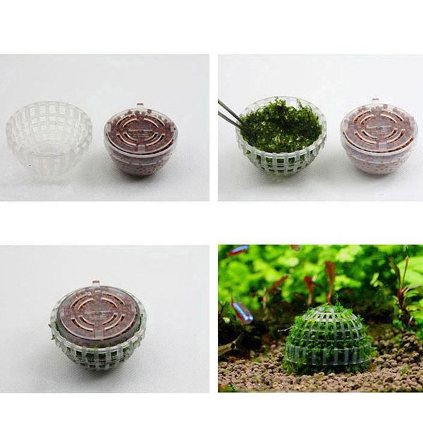 natural mineral aquatic moss ball for aquarium crystal red shrimp fish tank m0xd decorations
natural mineral aquatic moss ball for aquarium crystal red shrimp fish tank m0xd decorations