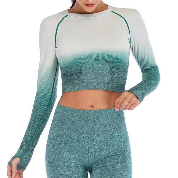 seamless yoga t shirt sports bras long sleeve running slim fitness gym with gloves breathable wear women outfit
seamless yoga t shirt sports bras long sleeve running slim fitness gym with gloves breathable wear women outfit