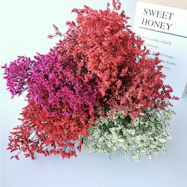 decorative flowers & wreaths dried natural crystal grass eternal life flower bouquets,real forever lover arrangement for home wedding decora
decorative flowers & wreaths dried natural crystal grass eternal life flower bouquets,real forever lover arrangement for home wedding decora