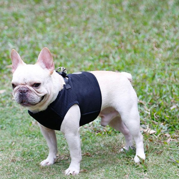 dog collars & leashes pet harness vest for small medium dogs anti-breakaway summer adjustable mesh leash set no pull choke
dog collars & leashes pet harness vest for small medium dogs anti-breakaway summer adjustable mesh leash set no pull choke