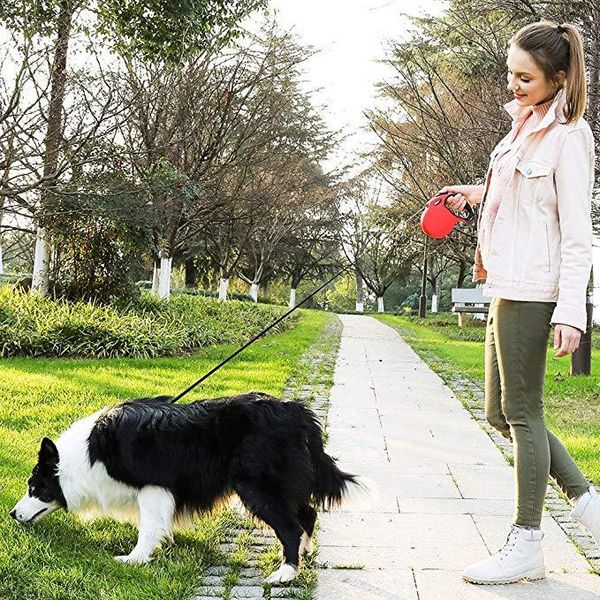 pet traction rope automatic retractable nylon dog walking artifact 5 meters running anti-wear collars & leashes
pet traction rope automatic retractable nylon dog walking artifact 5 meters running anti-wear collars & leashes