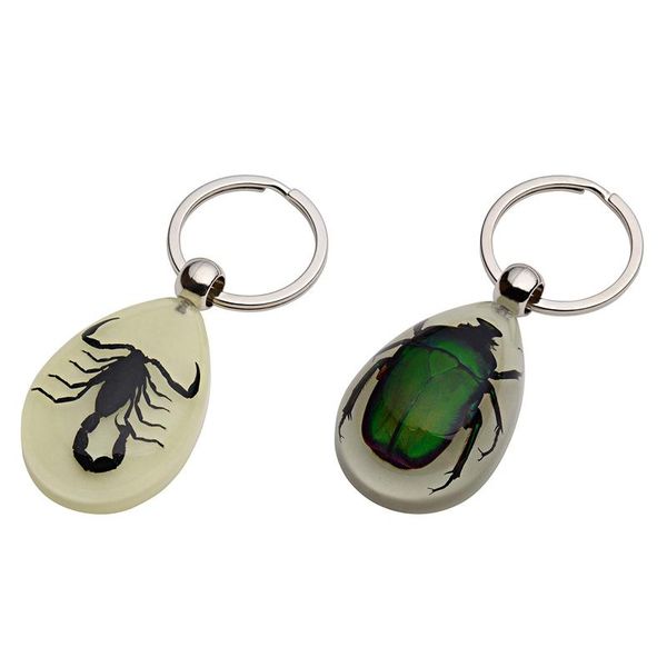 keychains 2 pcs glow-in-the-dark real insect keychain, green chafer & black scorpion, Silver
keychains 2 pcs glow-in-the-dark real insect keychain, green chafer & black scorpion, Silver