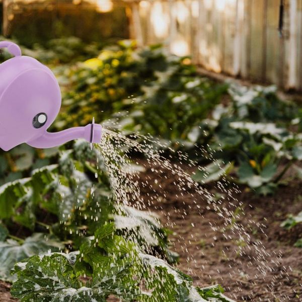 1pc 1.5l long mouth flower watering can garden plants pot sprinkling plant tools supplies size equipments
1pc 1.5l long mouth flower watering can garden plants pot sprinkling plant tools supplies size equipments