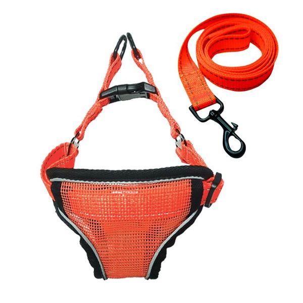 dog collars & leashes small medium harness breathable mesh chest strap pet vest type traction rope puppy teddy chihuahua accesorios walking
dog collars & leashes small medium harness breathable mesh chest strap pet vest type traction rope puppy teddy chihuahua accesorios walking