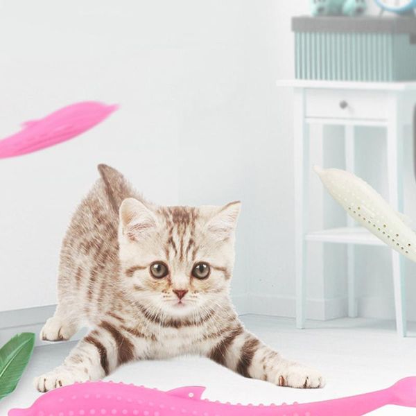 cat toys toothbrush fish shape catnip flavor silicone molar stick teeth cleaner cleaning toy
cat toys toothbrush fish shape catnip flavor silicone molar stick teeth cleaner cleaning toy