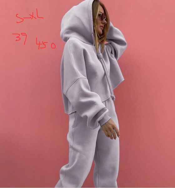 women's tracksuits fall winter velvet sportswear designer two piece set fashion with inverted triangle letter tracksuit, Gray
women's tracksuits fall winter velvet sportswear designer two piece set fashion with inverted triangle letter tracksuit, Gray