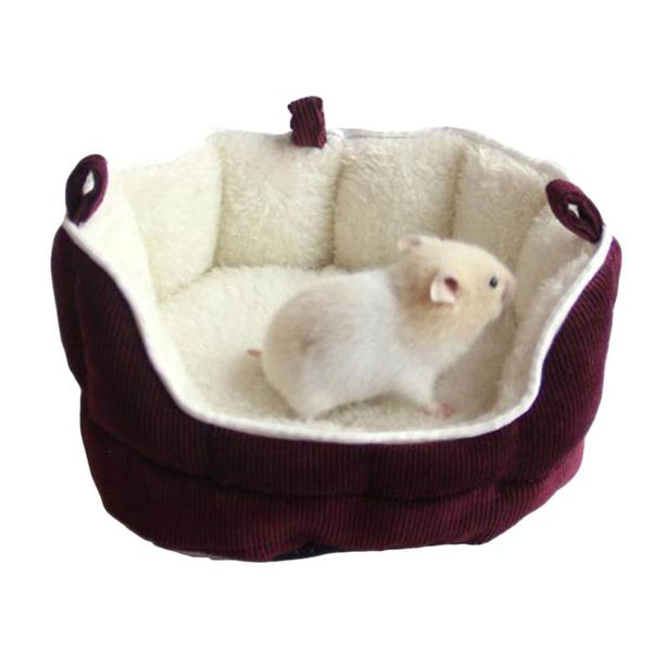 small pet nest hedgehog squirrel hamster bed wolf guinea pig sleeping dog mats birds hanging nests good sale bird cages
small pet nest hedgehog squirrel hamster bed wolf guinea pig sleeping dog mats birds hanging nests good sale bird cages