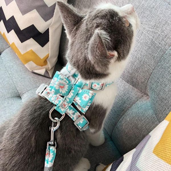 dog collars & leashes adjustable nylon harness leash set pet puppy bowknot vest walking for dogs chihuahua arnes perro.
dog collars & leashes adjustable nylon harness leash set pet puppy bowknot vest walking for dogs chihuahua arnes perro.