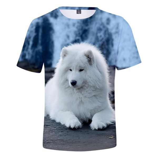 men's t-shirts fashion design samoyed t-shirt men women kids harajuku printed cute bear streetwear boy girl dog, White;black
men's t-shirts fashion design samoyed t-shirt men women kids harajuku printed cute bear streetwear boy girl dog, White;black