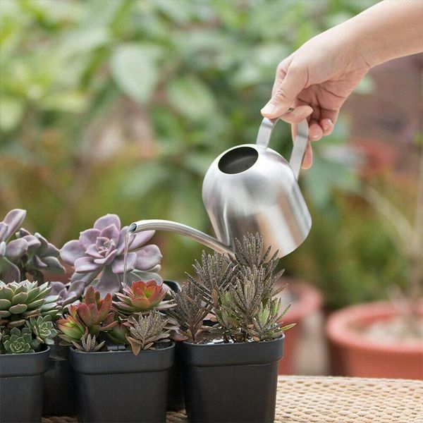 watering equipments indoor small stainless steel can pot garden spout plant tool dc156
watering equipments indoor small stainless steel can pot garden spout plant tool dc156