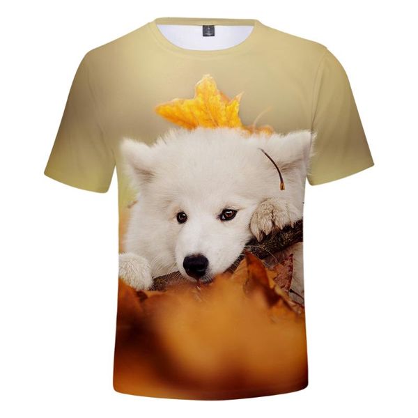 men's t-shirts kpop child size samoyed t shirt men women harajuku streetwear boy girl dog for kids, White;black
men's t-shirts kpop child size samoyed t shirt men women harajuku streetwear boy girl dog for kids, White;black