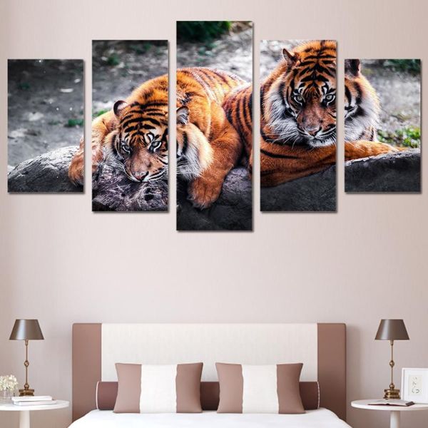 paintings canvas painting living room wall poster 5 panel animal tiger frames in modular print cuadros decoration pictures ygyt
paintings canvas painting living room wall poster 5 panel animal tiger frames in modular print cuadros decoration pictures ygyt