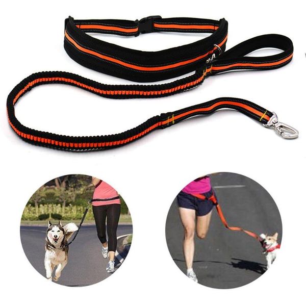 dog collars & leashes retractable leash puppy walking leads with waist bag for outdoor pet sports running reflective stretch traction rope
dog collars & leashes retractable leash puppy walking leads with waist bag for outdoor pet sports running reflective stretch traction rope