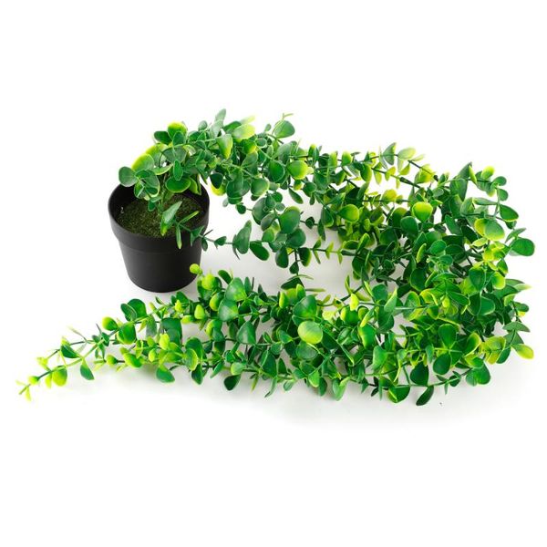 vine artificial faux greenery vines fake plants hanging basket wall accessories decorations simulation plastic potted eucalyptus decorative
vine artificial faux greenery vines fake plants hanging basket wall accessories decorations simulation plastic potted eucalyptus decorative