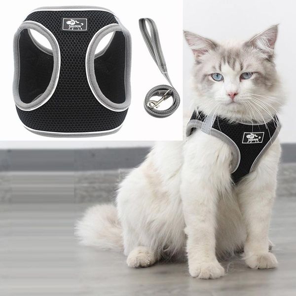 cat collars & leads harness leash set reflective nylon soft air mesh kitten puppy dog vest pet clothes for small dogs yorkies pug
cat collars & leads harness leash set reflective nylon soft air mesh kitten puppy dog vest pet clothes for small dogs yorkies pug