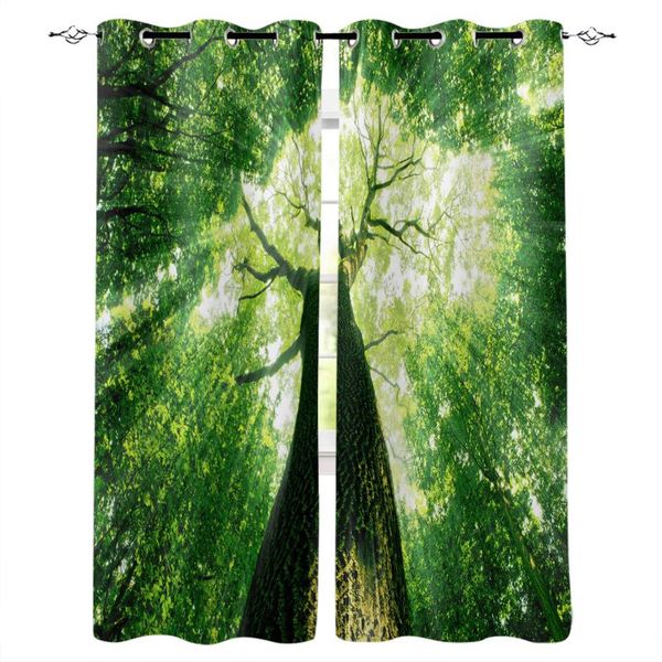 curtain & drapes jungle forest green tree curtains for living room window bedroom modern interior home decoration
curtain & drapes jungle forest green tree curtains for living room window bedroom modern interior home decoration
