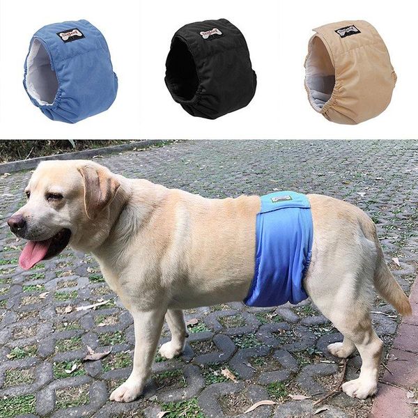 dog apparel pants female shorts breathable physiological diaper large sanitary with suspenders training pads
dog apparel pants female shorts breathable physiological diaper large sanitary with suspenders training pads