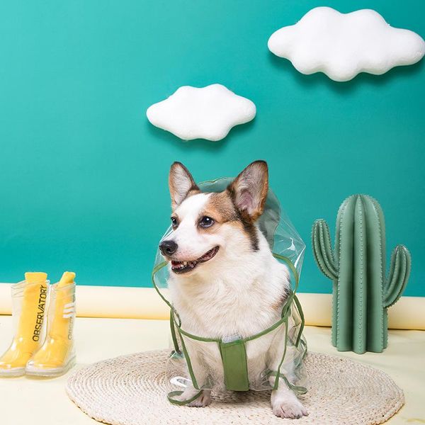 fashion transparent raincoat for all seasons, waterproof clothes dogs. big hat can cover the head and not block sight dog apparel
fashion transparent raincoat for all seasons, waterproof clothes dogs. big hat can cover the head and not block sight dog apparel