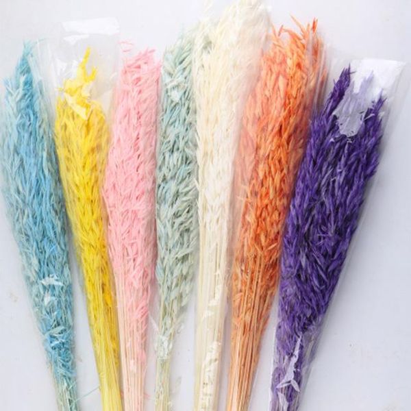 decorative flowers & wreaths natural dried oats diy wedding party po props flower home decoration market arrangement dreaming lc
decorative flowers & wreaths natural dried oats diy wedding party po props flower home decoration market arrangement dreaming lc
