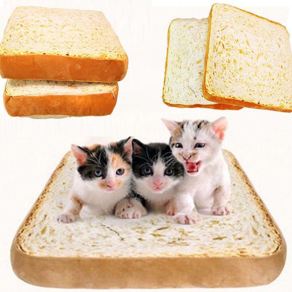 cat beds & furniture creative toast bread pillow dog pet cushion supplies bed mat soft plush seat 40x40cm
cat beds & furniture creative toast bread pillow dog pet cushion supplies bed mat soft plush seat 40x40cm
