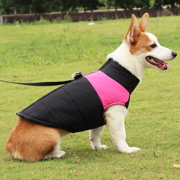 dog apparel waterproof winter clothes jacket puppy pet warm coat medium large 5 colors costume s-5xl
dog apparel waterproof winter clothes jacket puppy pet warm coat medium large 5 colors costume s-5xl